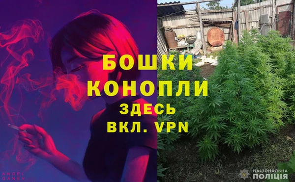 ешки Арсеньев