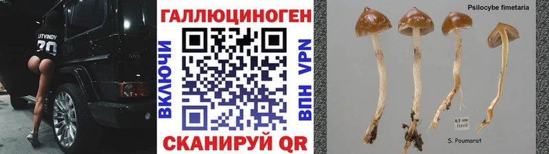 OMG ССЫЛКА  Асбест  Галлюциногенные грибы прущие грибы 